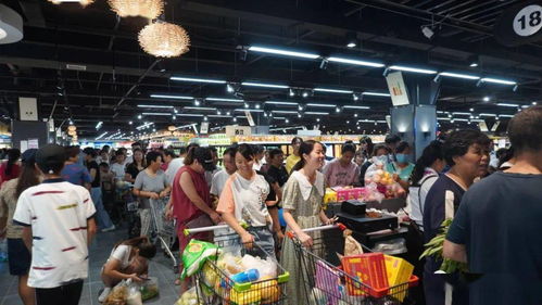 金星灿烂 上蔡又一标杆购物中心正式诞生