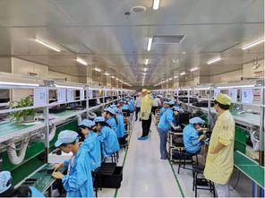 苏宁拼购 拼拼工厂 再升级,老人机企业迎来增长新动力