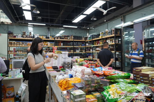 全面深化改革在新疆 一线见闻丨109家企业入驻塔城试验区先行发展区 他们看中了什么？